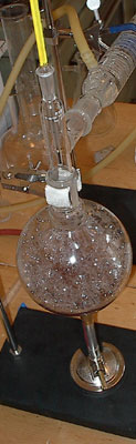 Gomez-Perales, Lab